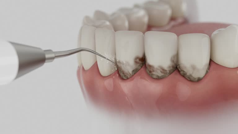 Reliable Dental contractor in Montgomery, GA by Dentist Open Now